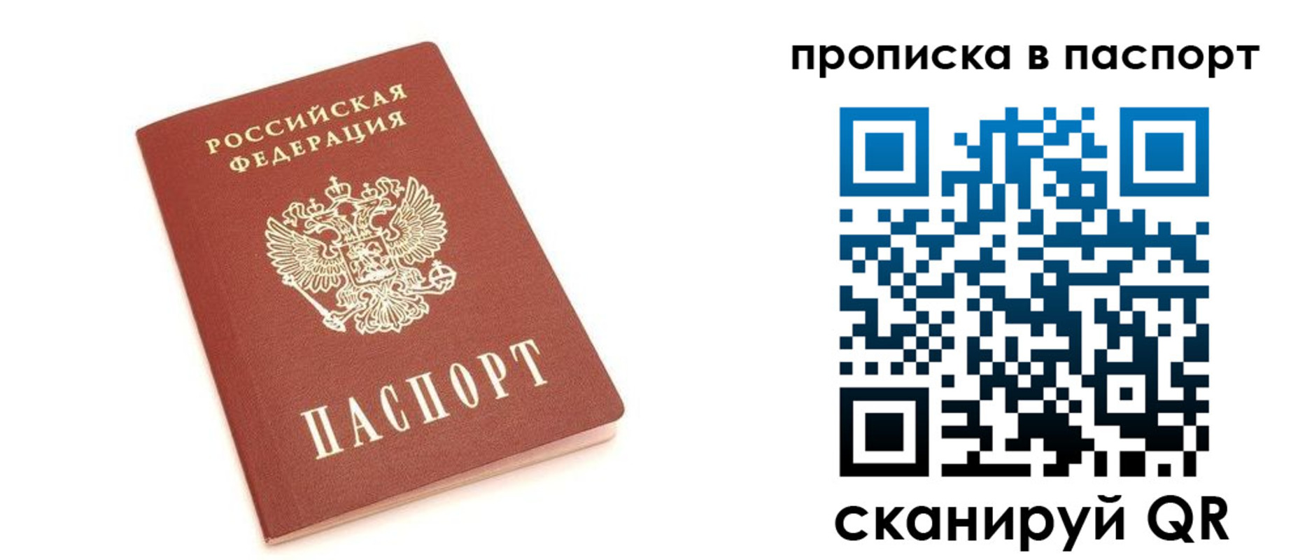 прописка в Волосово